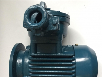 防爆電機(jī)使用的滑動軸承在安裝調(diào)試時(shí)要注意些什么