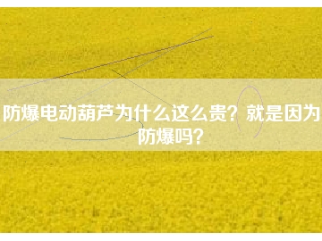 防爆電動葫蘆為什么這么貴？就是因為能防爆嗎？