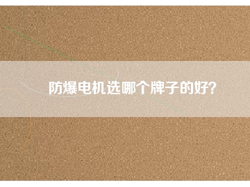 防爆電機選哪個牌子的好？