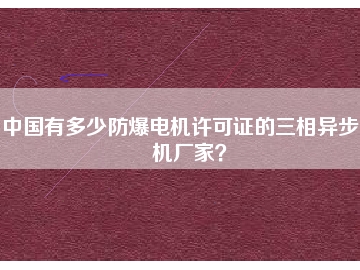 中國(guó)有多少防爆電機(jī)許可證的三相異步電機(jī)廠家？
