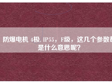 防爆電機 4極, IP55，F(xiàn)級，這幾個參數都是什么意思呢？