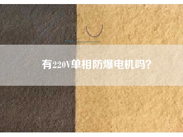 有220V單相防爆電機嗎？