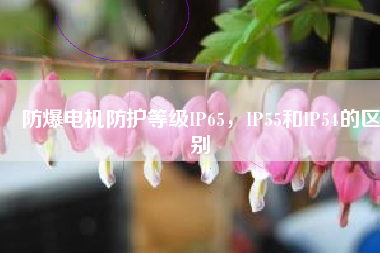 防爆電機(jī)防護(hù)等級IP65，IP55和IP54的區(qū)別