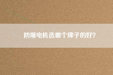 防爆電機(jī)選哪個(gè)牌子的好？