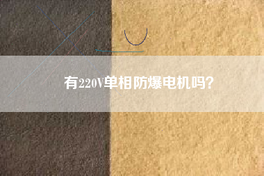 有220V單相防爆電機嗎？